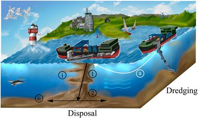 Simulating the near-field dynamic plume behavior of disposed fine sediments